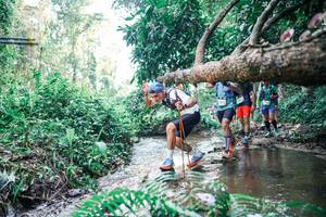 BIB: 
                            <button type="button" onclick="openModal(25460089)" class="btn btn-primary btn-sm float-right btn-popup" data-toggle="modal" data-target=".modal-high-quality">
                        <i class="fas fa-shopping-cart"></i> Add to Cart
                    </button>
                                            <button type="button" onclick="isThisMe(25460089, true)" class="btn btn-success btn-sm float-right btn-popup btn-isme hidden" data-toggle="tooltip" data-placement="bottom" title="นี่คือรูปของคุณใช่ไหม คลิกที่นี่เพื่อเอาเข้าอัลบั้ม">
                        <i class="fas fa-plus"></i> Add to album
                    </button>
                    <button type="button" onclick="isThisMe(25460089, false)" class="btn btn-warning btn-sm float-right btn-popup btn-isnotme hidden">
                        <i class="fas fa-ban"></i> Remove from album
                    </button>